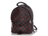 Louis Vuitton Infrarouge Palm Springs Backpack PM