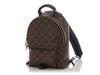 Louis Vuitton Monogram Palm Springs PM