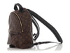 Louis Vuitton Monogram Palm Springs PM