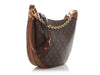 Louis Vuitton Monogram Loop Hobo