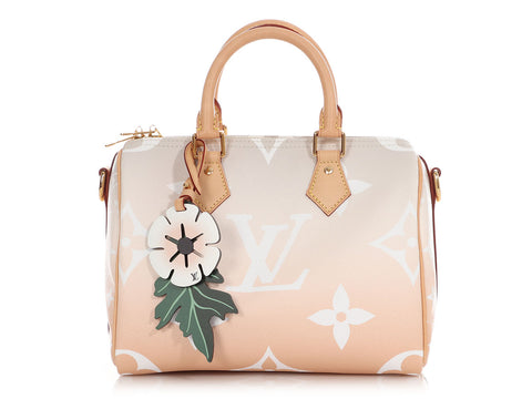 Louis Vuitton Monogram Giant Brume and Mist By The Pool Speedy Bandoulière 25