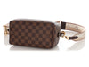 Louis Vuitton Damier Ebène Speedy 20